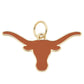 Texas Longhorns Charm