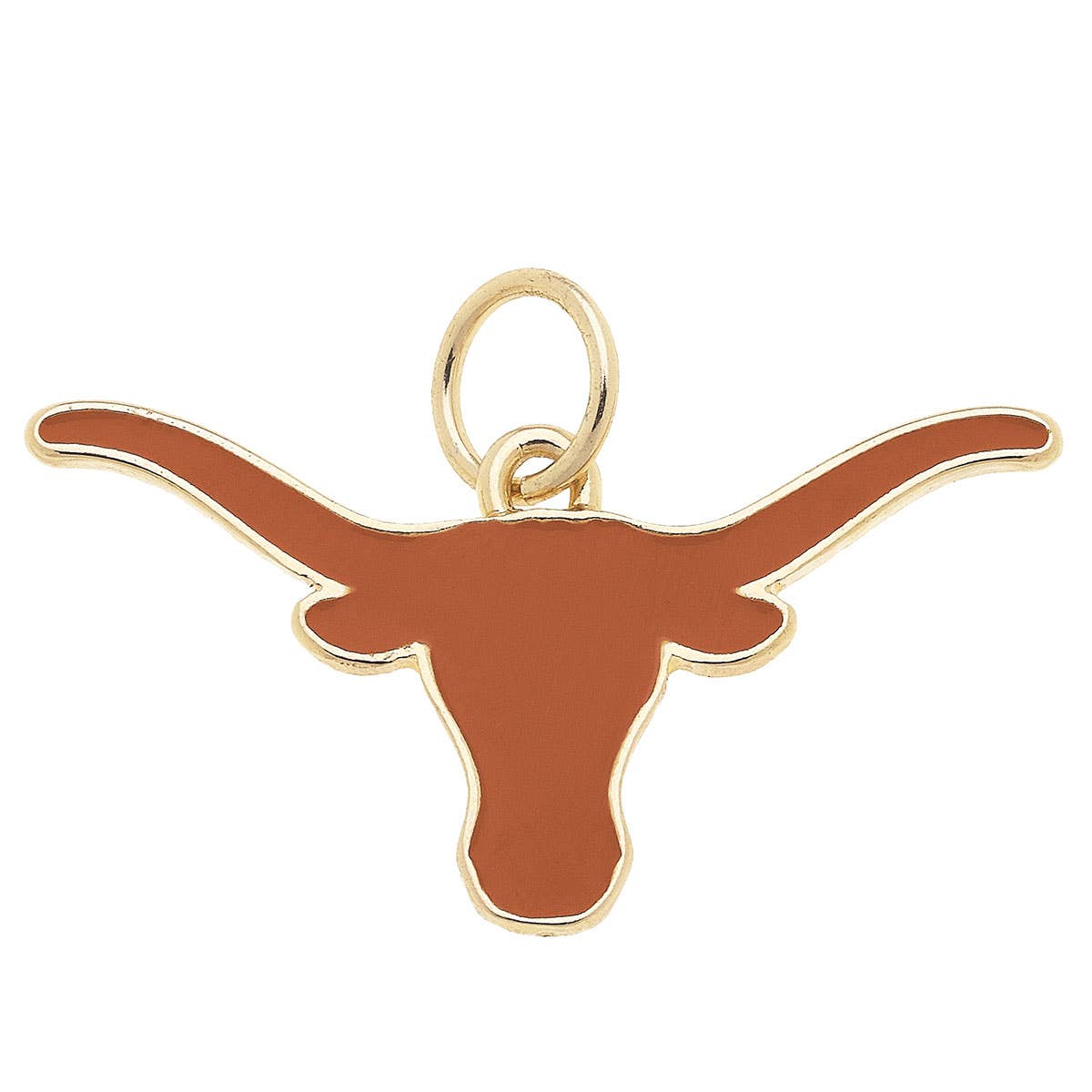 Texas Longhorns Charm