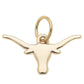 Texas Longhorns Charm Gold