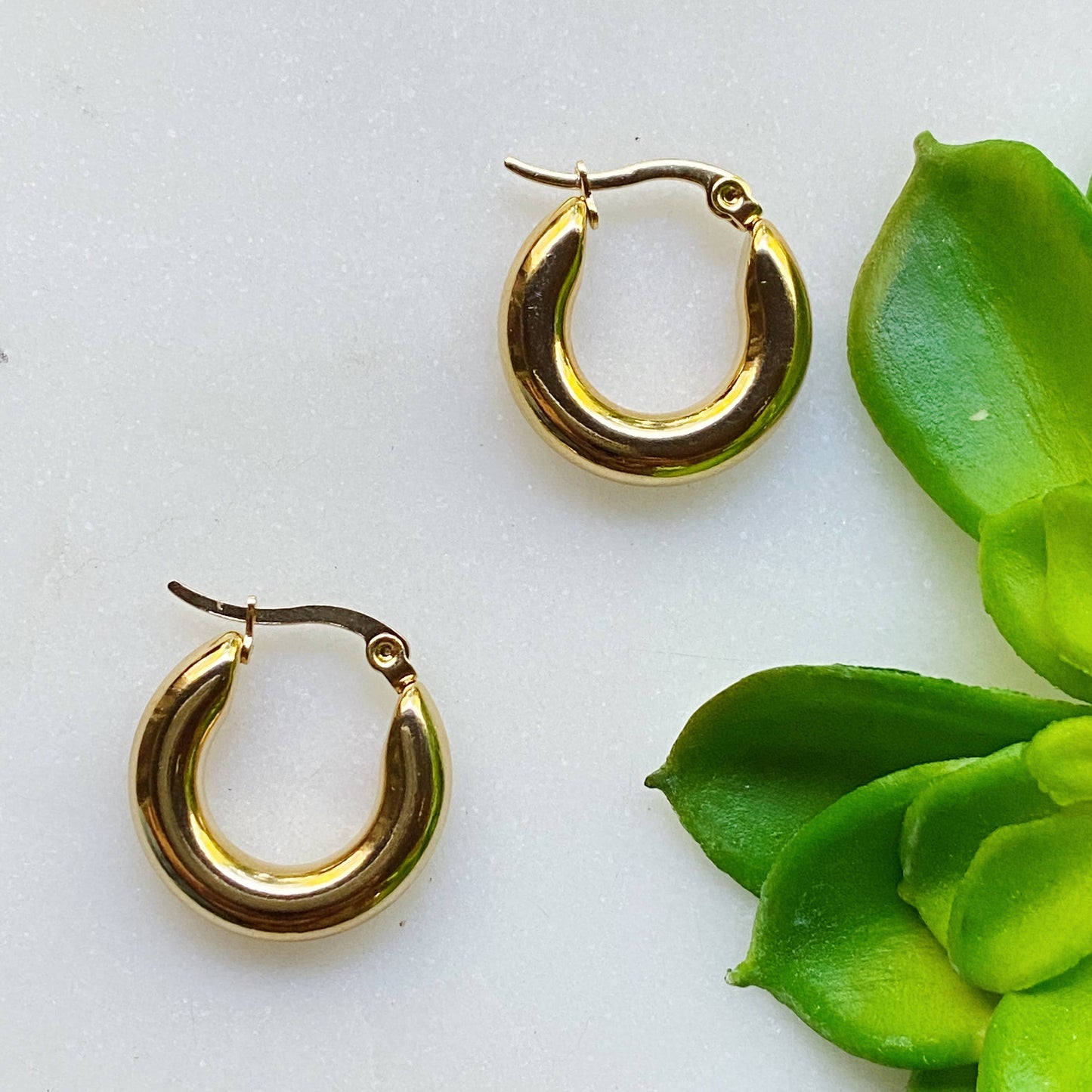 Sienna Huggie Hoop Earrings