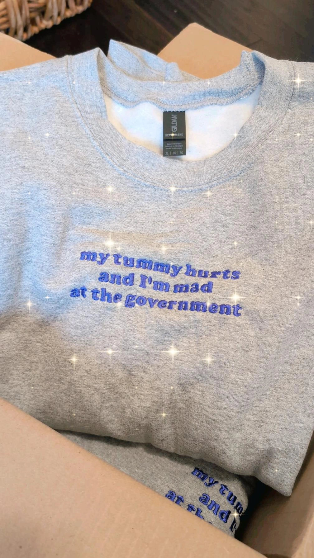 Mad At The Government Embroidered Sweatshirt