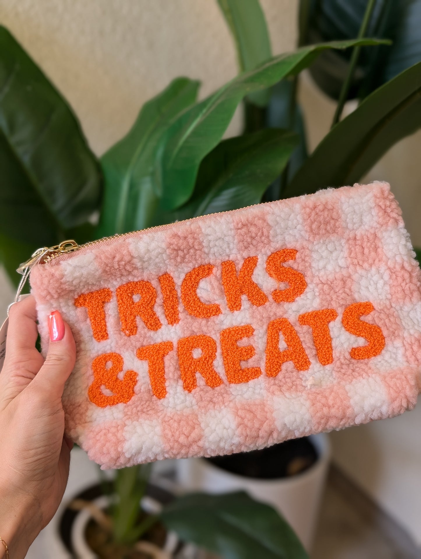 Tricks & Treats Teddy Pouch